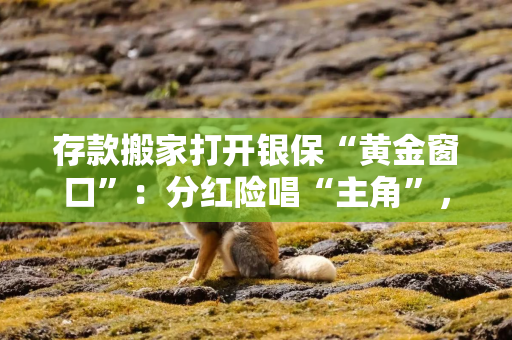 存款搬家打开银保“黄金窗口”：分红险唱“主角”，热度之下渠道内卷、短期产品博弈