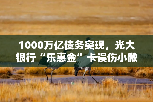 1000万亿债务突现，光大银行“乐惠金”卡误伤小微企业主