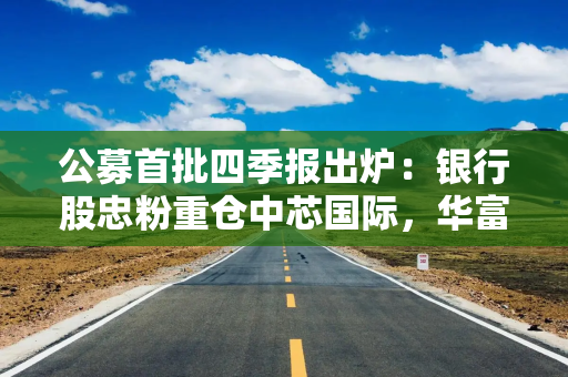 公募首批四季报出炉：银行股忠粉重仓中芯国际，华富新能源规模飙升16倍