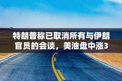 特朗普称已取消所有与伊朗官员的会谈，美油盘中涨3%