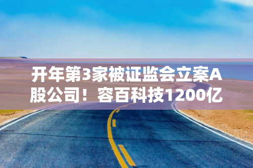 开年第3家被证监会立案A股公司！容百科技1200亿订单涉嫌误导性陈述，公司：系估算