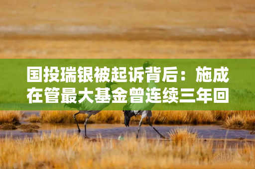 国投瑞银被起诉背后：施成在管最大基金曾连续三年回撤，另有基金经理被指风格漂移