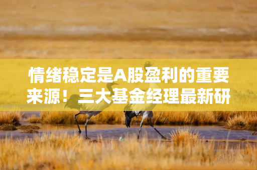 情绪稳定是A股盈利的重要来源！三大基金经理最新研判来了