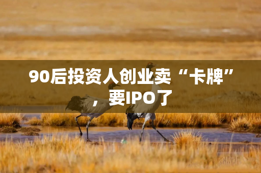90后投资人创业卖“卡牌”，要IPO了