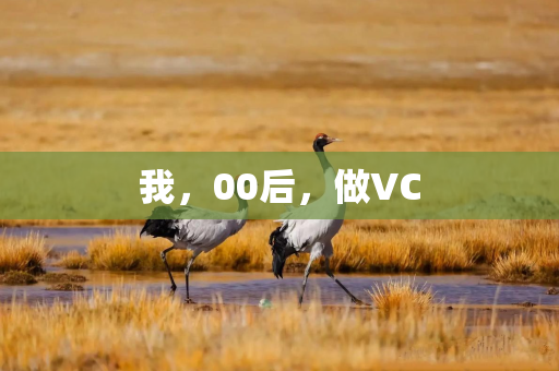 我，00后，做VC