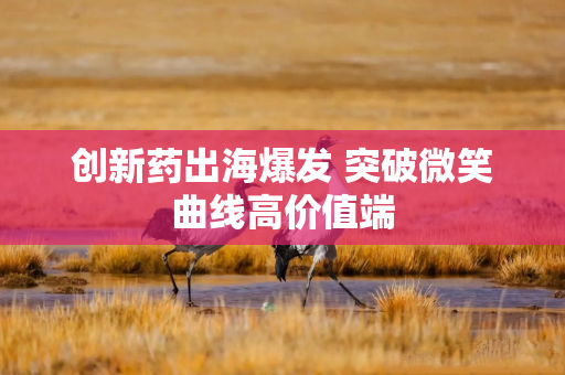 创新药出海爆发 突破微笑曲线高价值端