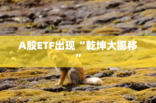 A股ETF出现“乾坤大挪移”