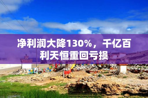 净利润大降130%，千亿百利天恒重回亏损