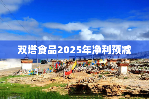 双塔食品2025年净利预减