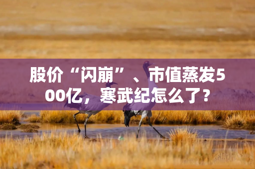 股价“闪崩”、市值蒸发500亿，寒武纪怎么了？
