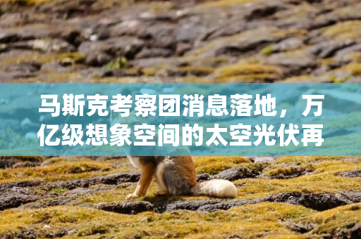 马斯克考察团消息落地，万亿级想象空间的太空光伏再掀涨停