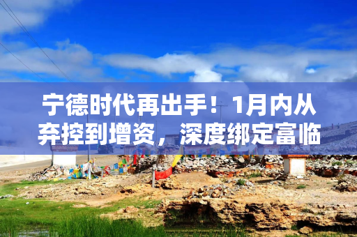 宁德时代再出手！1月内从弃控到增资，深度绑定富临精工磷酸铁锂版图