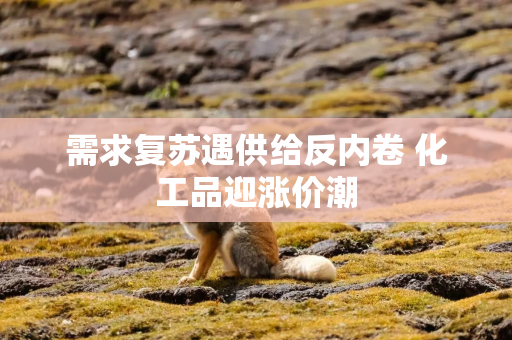 需求复苏遇供给反内卷 化工品迎涨价潮