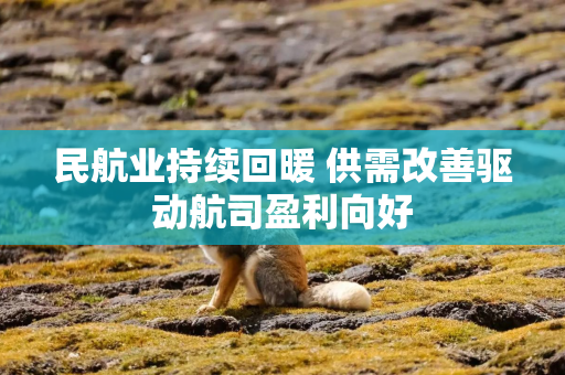 民航业持续回暖 供需改善驱动航司盈利向好