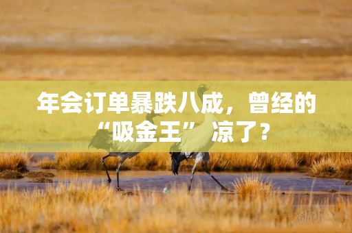 年会订单暴跌八成，曾经的 “吸金王” 凉了？