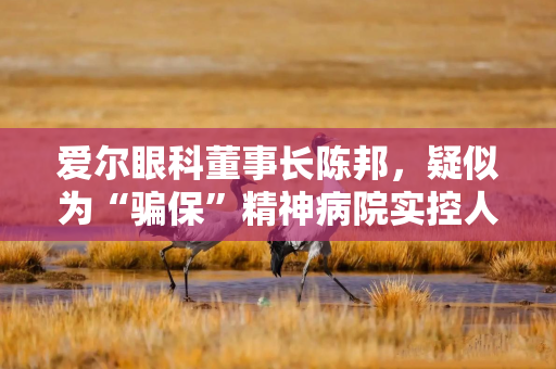 爱尔眼科董事长陈邦，疑似为“骗保”精神病院实控人