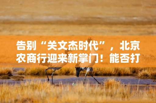 告别“关文杰时代”，北京农商行迎来新掌门！能否打破7年上市辅导期困局？