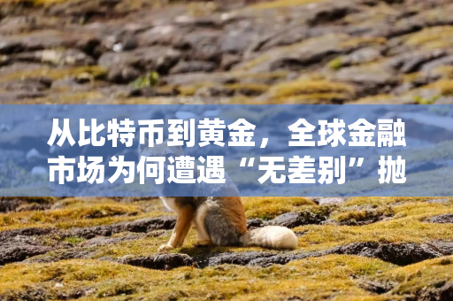 从比特币到黄金，全球金融市场为何遭遇“无差别”抛售？