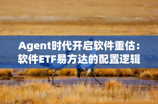 Agent时代开启软件重估：软件ETF易方达的配置逻辑