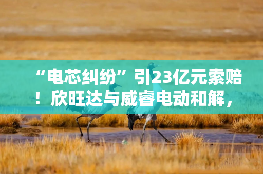“电芯纠纷”引23亿元索赔！欣旺达与威睿电动和解，5年分期方案出炉