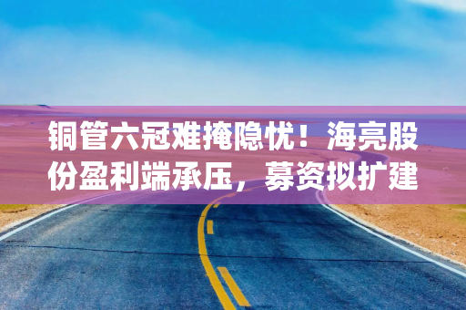 铜管六冠难掩隐忧！海亮股份盈利端承压，募资拟扩建摩洛哥及印尼生产基地|港E声