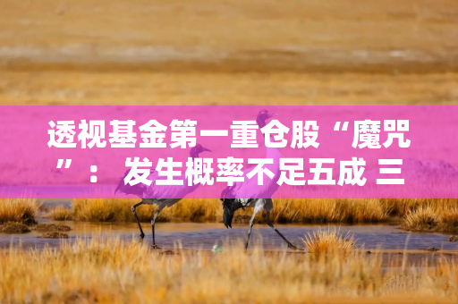 透视基金第一重仓股“魔咒”： 发生概率不足五成 三招避开“光环陷阱”