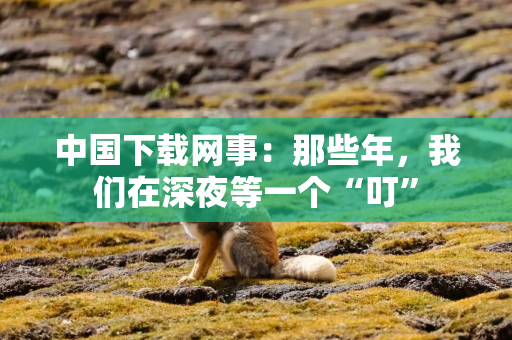 中国下载网事：那些年，我们在深夜等一个“叮”