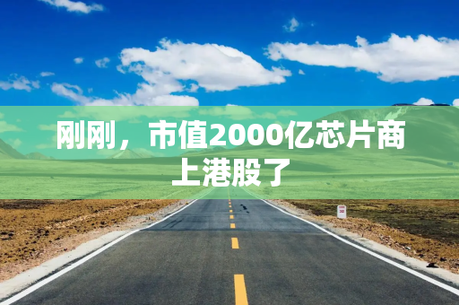 刚刚，市值2000亿芯片商上港股了