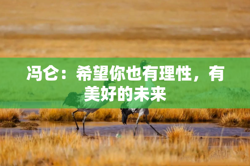 冯仑：希望你也有理性，有美好的未来