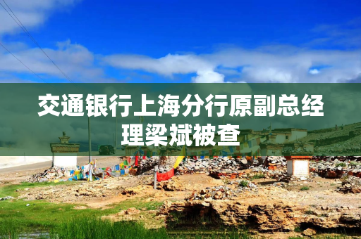 交通银行上海分行原副总经理梁斌被查