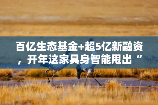 百亿生态基金+超5亿新融资，开年这家具身智能甩出“王炸”