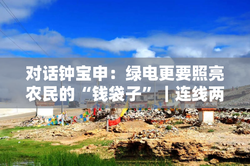 对话钟宝申：绿电更要照亮农民的“钱袋子”｜连线两会