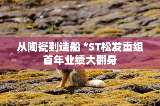 从陶瓷到造船 *ST松发重组首年业绩大翻身