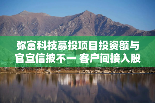 弥富科技募投项目投资额与官宣信披不一 客户间接入股或布局上游