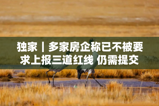 独家｜多家房企称已不被要求上报三道红线 仍需提交资产负债率指标