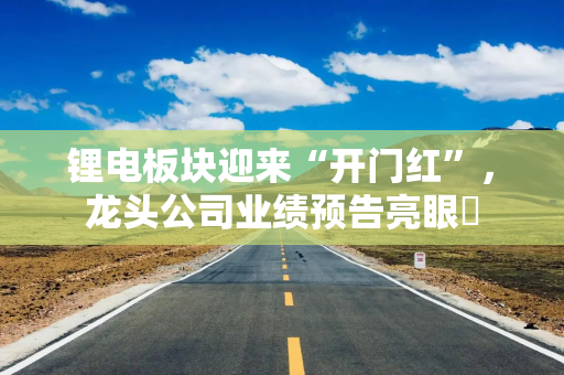 锂电板块迎来“开门红”，龙头公司业绩预告亮眼‌