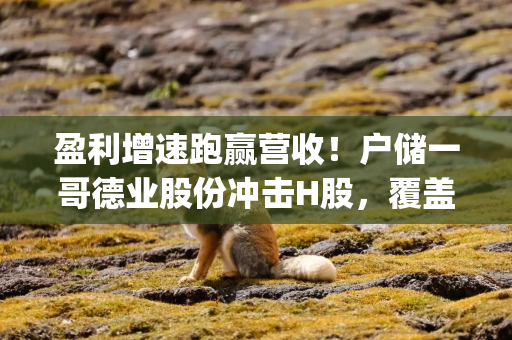 盈利增速跑赢营收！户储一哥德业股份冲击H股，覆盖150国及地区市场|港E声