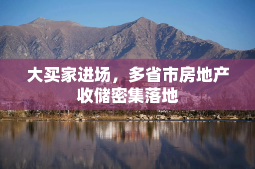 大买家进场，多省市房地产收储密集落地