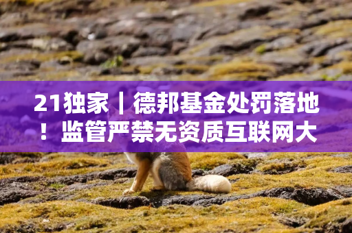 21独家｜德邦基金处罚落地！监管严禁无资质互联网大V带货