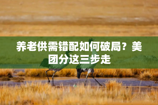 养老供需错配如何破局？美团分这三步走