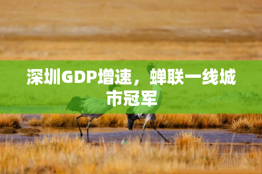 深圳GDP增速，蝉联一线城市冠军