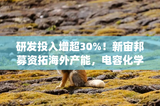 研发投入增超30%！新宙邦募资拓海外产能，电容化学品市占率居全球前列|港E声