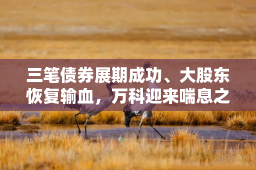 三笔债券展期成功、大股东恢复输血，万科迎来喘息之机？