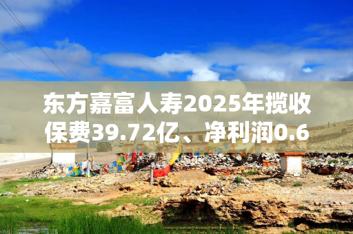 东方嘉富人寿2025年揽收保费39.72亿、净利润0.6亿，何欣履新董事长