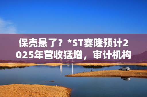 保壳悬了？*ST赛隆预计2025年营收猛增，审计机构却上任不足半月“闪辞”