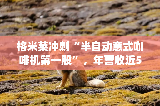 格米莱冲刺“半自动意式咖啡机第一股”，年营收近5亿元|港E声