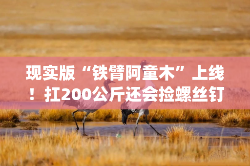 现实版“铁臂阿童木”上线！扛200公斤还会捡螺丝钉，阿童木机器人港股递表|港E声