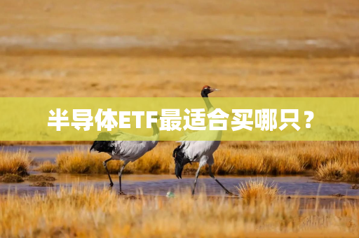 半导体ETF最适合买哪只？