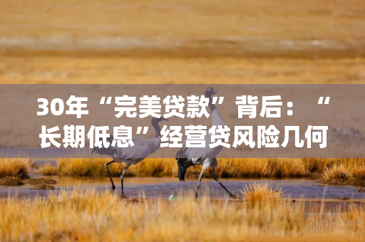 30年“完美贷款”背后：“长期低息”经营贷风险几何？