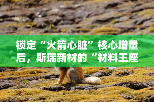 锁定“火箭心脏”核心增量后，斯瑞新材的“材料王座”仍需订单验证